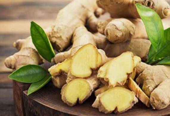 (Gấp) Cơ hội hợp tác xuất khẩu sản phẩm gừng tươi đến thị trường Australia