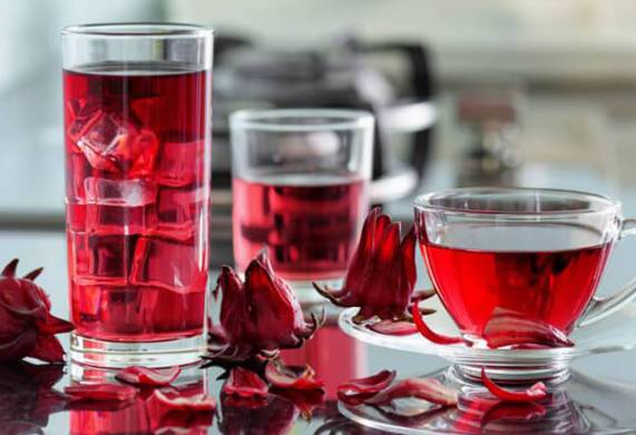 Cách lấy hạt giống atiso đỏ đơn giản, nhanh gọn bạn đã biết chưa? 