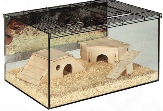 Lồng chuột hamster giá rẻ làm từ vật liệu gì?