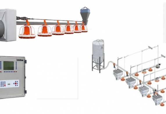 Máng ăn tự động cho gia cầm - Cấu tạo và nguyên lý hoạt động