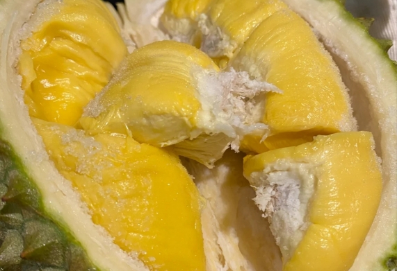 Giống sầu riêng Musang King