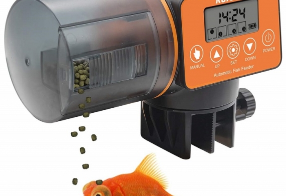 Máy cho cá ăn hẹn giờ mini: cấu tạo và cách sử dụng máy