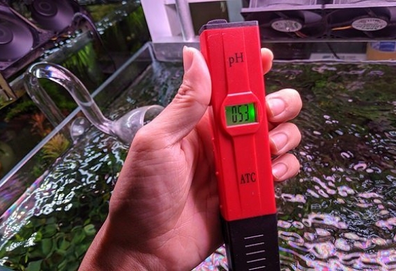 Máy đo độ cho pH bể cá: chức năng, cấu tạo và nguyên lý hoạt động