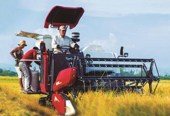 Máy gặt Yanmar yh850 giá bao nhiêu?