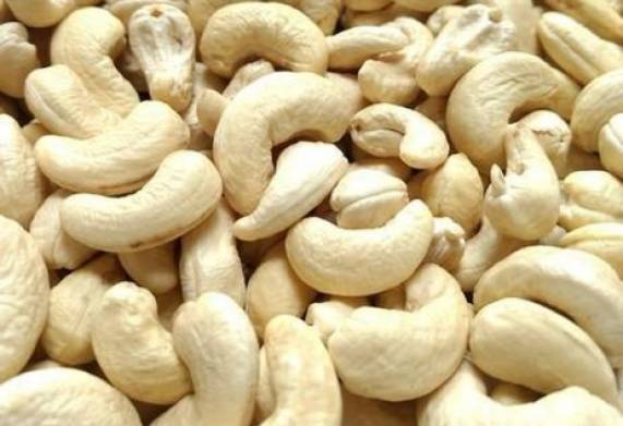Cơ hội xuất khẩu sản phẩm hạt điều sang thị trường Hà Lan