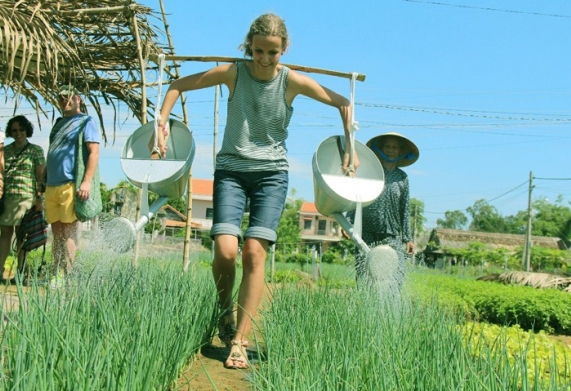 Các mô hình nông nghiệp hiệu quả cao nên áp dụng
