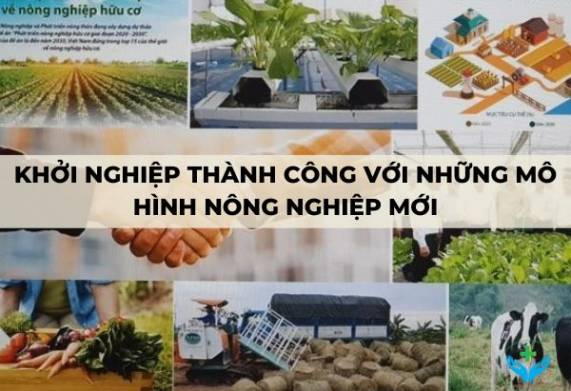 Khởi nghiệp thành công với những mô hình nông nghiệp mới