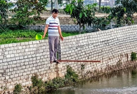 Thu nhập hàng trăm triệu đồng mỗi năm nhờ mô hình nuôi cá lóc đầu nhím