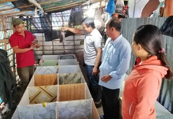Lão nông phát triển mô hình nuôi con Dúi thu lợi nhuận cao 