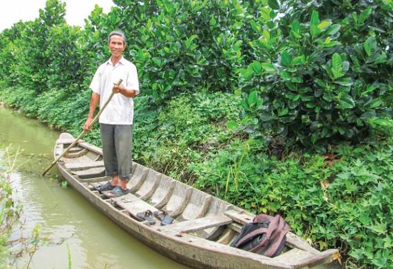 Xây dựng mô hình trồng cây ăn quả kết hợp nuôi cá hiệu quả