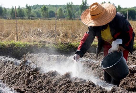 Các biện pháp phòng trừ nấm hại cây trồng hiệu quả 