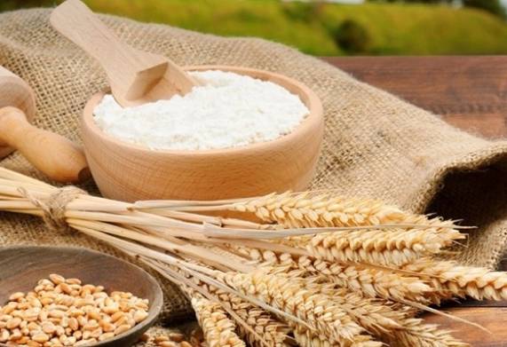 Thương vụ xuất khẩu bột mì sang thị trường Đức