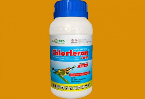 Top các loại thuốc đặc trị nhện đỏ trên cây mai vàng hiệu quả 