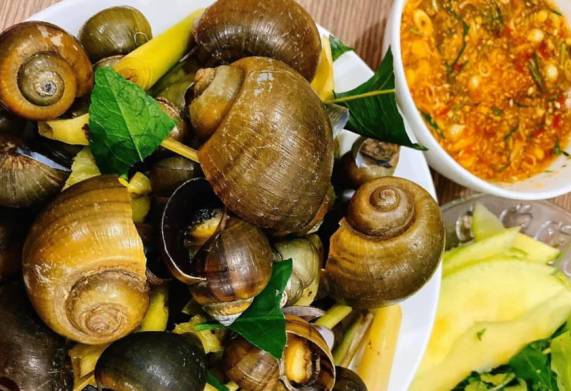 Ốc lác bao nhiêu 1kg? Bỏ túi bí quyết chọn mua ốc lác tươi ngon
