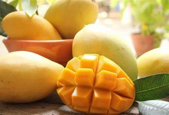 Thương vụ xuất khẩu xoài tươi sang thị trường Anh