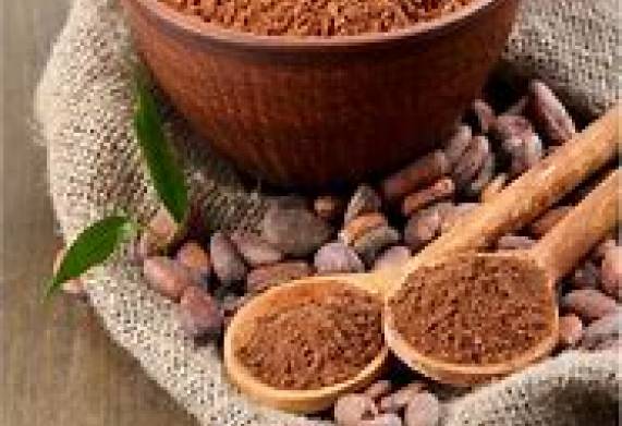Thương vụ hợp tác xuất khẩu bột cacao sang thị trường Nga