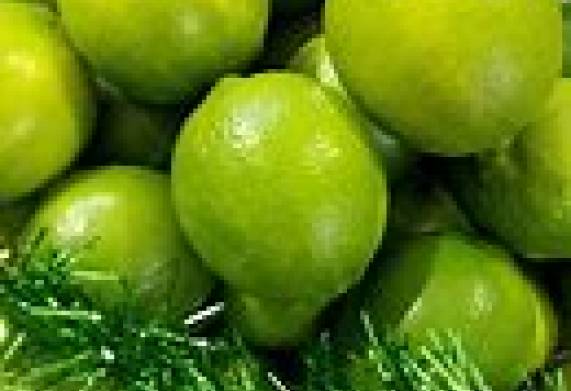 Đối tác Oman cần tìm nhà cung cấp mặt hàng chanh xanh