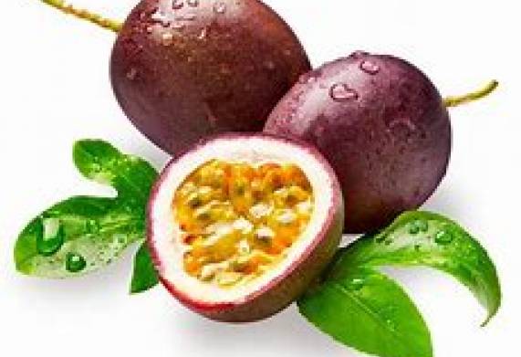 Cơ hội hợp tác với doanh nghiệp tại Hồng Kông cho đơn hàng chanh leo