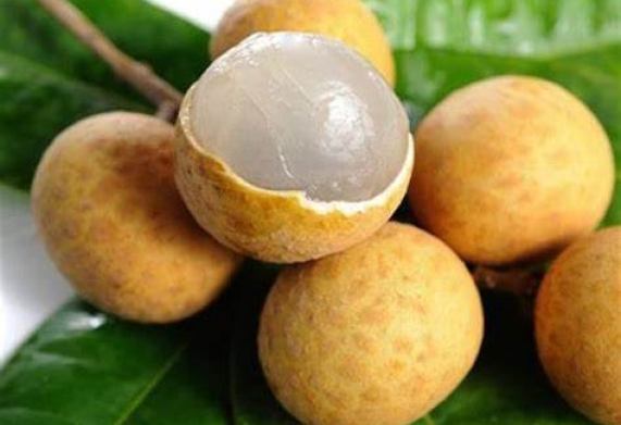 Cơ hội trở thành nhà cung cấp cho đơn hàng xuất khẩu quả nhãn sang thị trường Mỹ