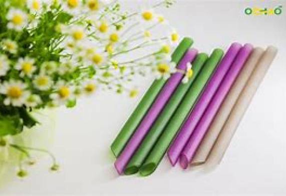Cơ hội hợp tác với doanh nghiệp tại Maldives cho đơn hàng ống hút gạo
