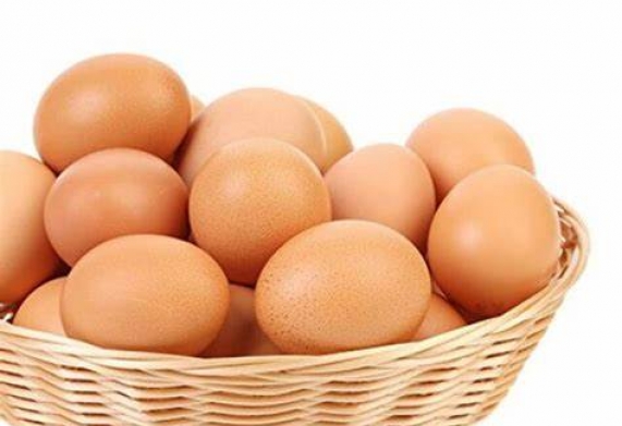 Cơ hội trở thành nhà cung cấp cho đơn hàng xuất khẩu trứng gà sang thị trường Nga
