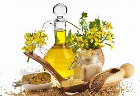 Cơ hội giao thương xuất khẩu sản phẩm dầu thực vật đến thị trường Trung Quốc