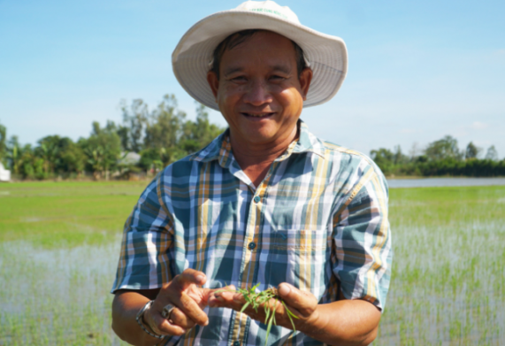 Người nông dân tạo nhiều giống lúa quý