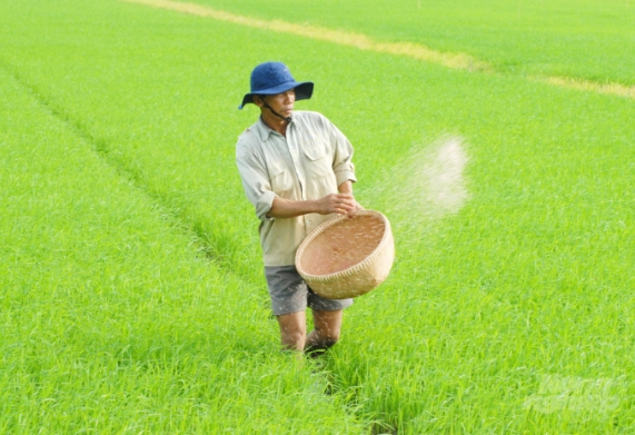 Khủng hoảng phân bón làm suy yếu ngành nông nghiệp