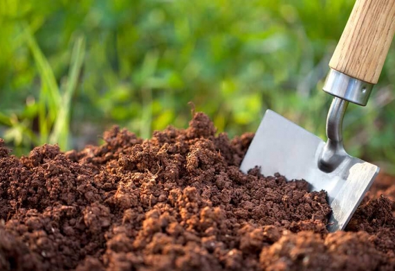 Phân bón hữu cơ là gì? Những vai trò của phân bón hữu cơ