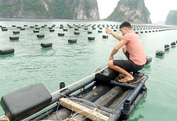 Phao nhựa nổi trong nuôi trồng thủy sản - cấu tạo, nguyên lý hoạt động và chức năng
