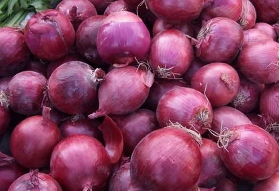 Cơ hội hợp tác với doanh nghiệp tại Philippines cho đơn hàng xuất khẩu hành tím