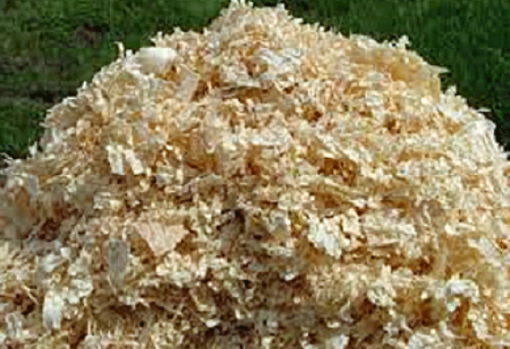 Câu lạc bộ cưỡi ngựa tại Ả Rập Xê-út đang cần tìm nhà cung cấp dăm bào để nhập lâu dài