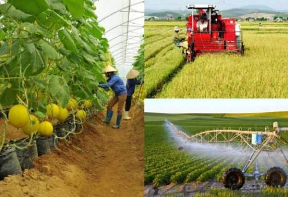 Hiệu quả từ việc ứng dụng CNTT trong nông nghiệp