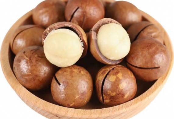 Cơ hội hợp tác với doanh nghiệp ở Tây Ban Nha cho đơn hàng xuất khẩu hạt macca
