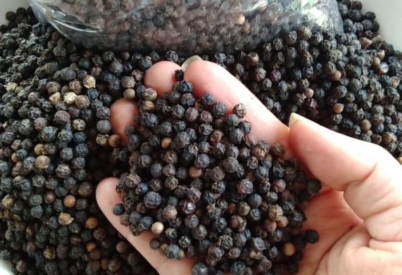 Cơ hội hợp tác với khách hàng đến từ Indonesia cho đơn hàng xuất khẩu sản phẩm hạt tiêu