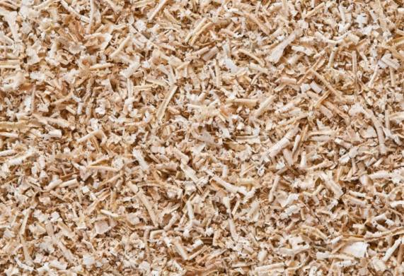 Đối tác người Malta dự kiến nhập khẩu dăm bào cho dự án sắp tới