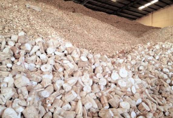 Cơ hội hợp tác với doanh nghiệp tại Hàn Quốc cho đơn hàng xuất khẩu số lượng lớn mặt hàng sắn lát đến thị trường Trung Quốc