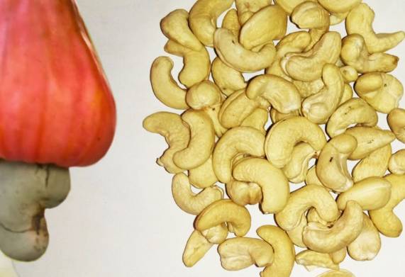 Đối tác đến từ Maroc cần tìm nhà cung cấp mặt hàng hạt điều