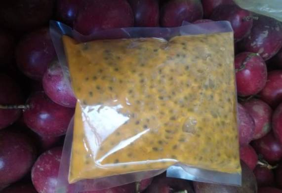 Cơ hội hợp tác với vị khách hàng người Nga cho đơn hàng xuất khẩu chanh leo đông lạnh