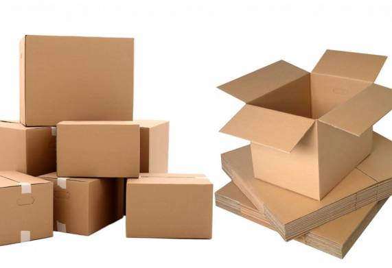 Vị khách hàng đến từ Singapore cần tìm đối tác cung cấp 120.000 chiếc thùng giấy