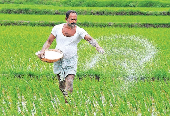 Sri Lanka: Từ bỏ hoàn toàn hóa chất sẽ khiến sản lượng nông nghiệp giảm mạnh