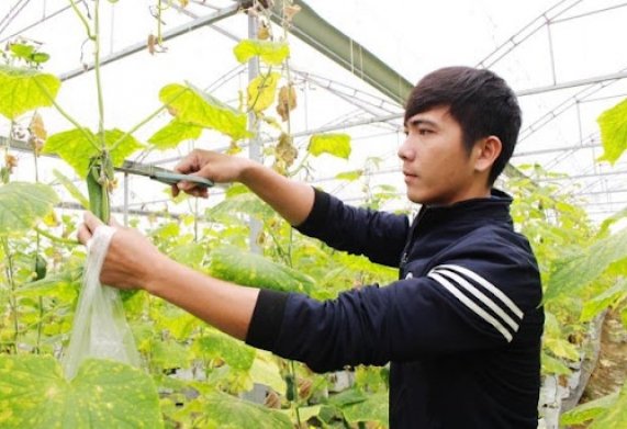Phấn đấu mỗi HTX thanh niên là một doanh nghiệp ứng dụng công nghệ số