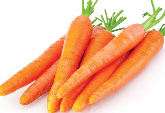 Cơ hội giao thương cung cấp mặt hàng cà rốt sang thị trường Nga