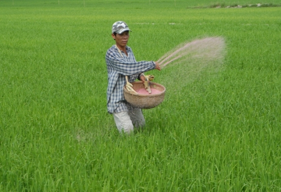 Thị trường vật tư nông nghiệp: Đủ chiêu trò gian lận