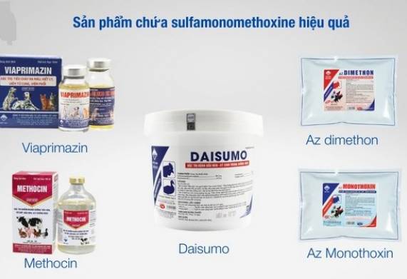 Thuốc đặc trị bệnh đầu đen ở gà hiệu quả nhất