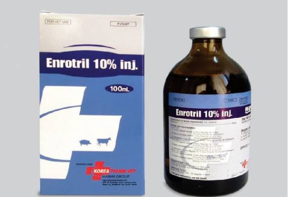 Thuốc đặc trị ecoli cho vịt hiệu quả nhất hiện nay