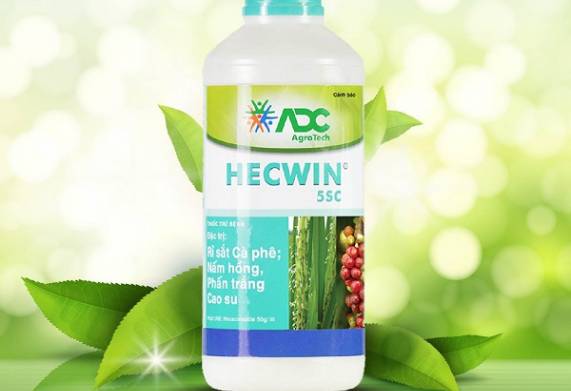 Tìm hiểu các loại thuốc trị bệnh phấn trắng trên cây cao su hiệu quả 