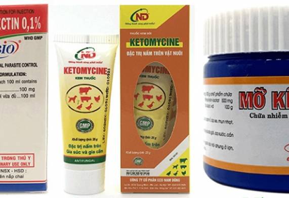 Tìm hiểu thông tin về thuốc trị nấm cho thỏ flucasol