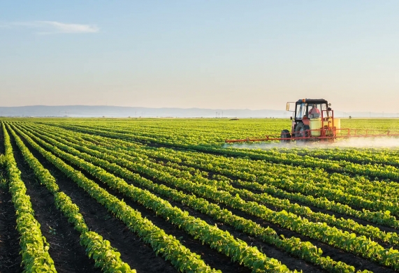 Thuốc trừ cỏ Glyphosate - Ưu nhược điểm và ảnh hưởng của thuốc trừ cỏ Glyphosate