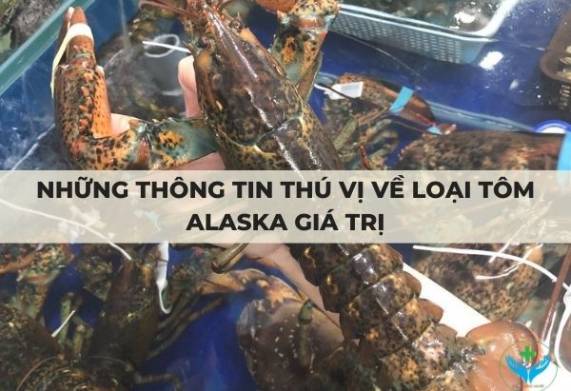 Những thông tin thú vị về loại tôm Alaska giá trị